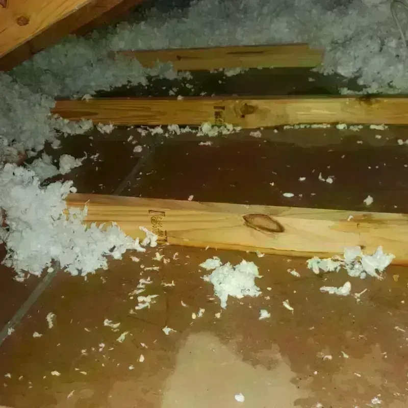 Attic Water Damage in Ozona, TX